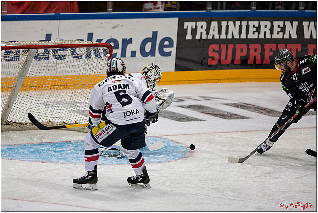 Koelner Haie - Eisbaeren Berlin, 13.11.2016